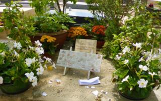 Visite du cimetière Montparnasse